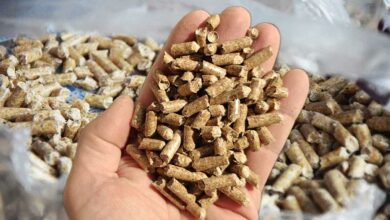 Des pellets de bois.