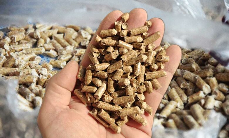 Des pellets de bois.