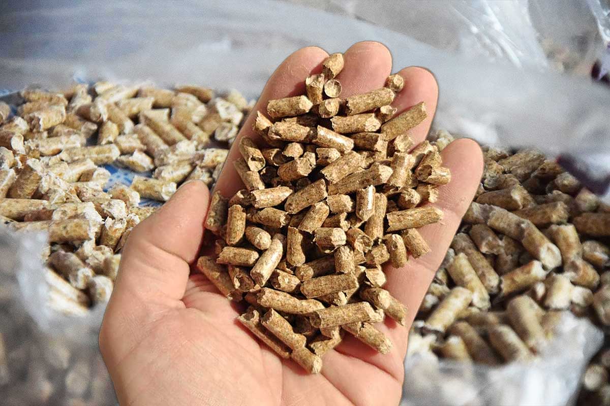 Des pellets de bois.