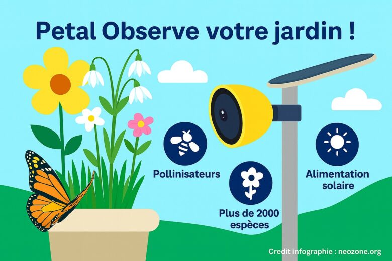 Infographie : Petal, la fleur connectée qui filme vos pollinisateurs et raconte leur histoire en 4K grâce à l’énergie solaire.