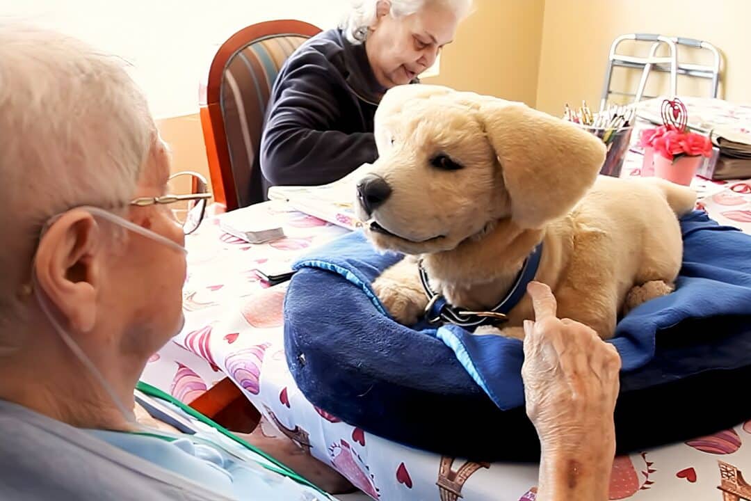 Un chien robot plus vrai que nature avec une personne agée.