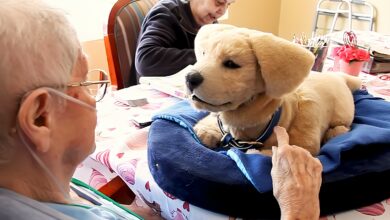 Un chien robot plus vrai que nature avec une personne agée.