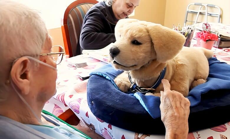 Un chien robot plus vrai que nature avec une personne agée.