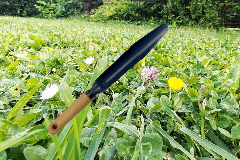 Un outil de jardin pour désherber.