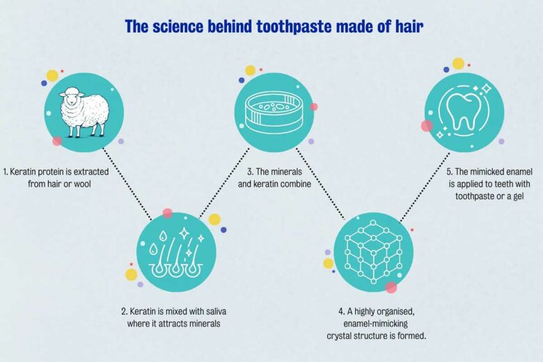 Principe du dentifrice à la kératine.