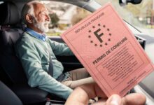 Une personne agée qui conduit et un permis.