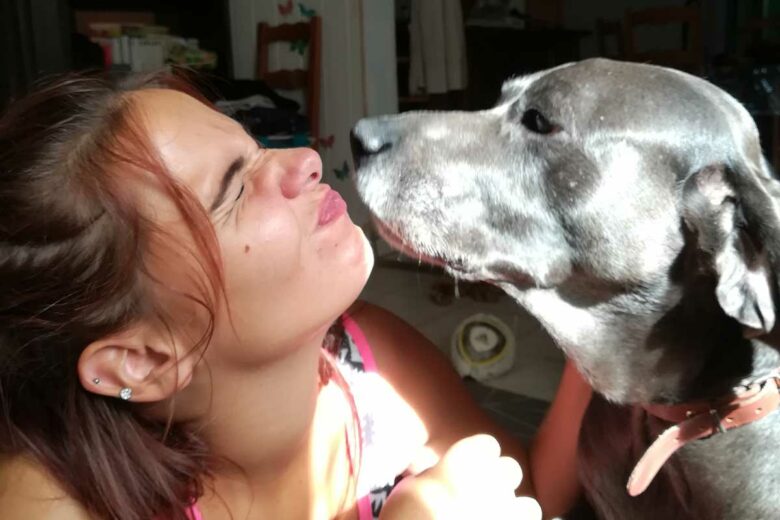 Un chien et sa maitresse.