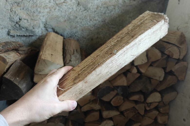 Une personne tient une buche.