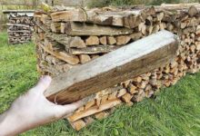 Du bois de chauffage et une buche tenue en main.
