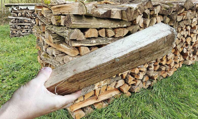 Du bois de chauffage et une buche tenue en main.