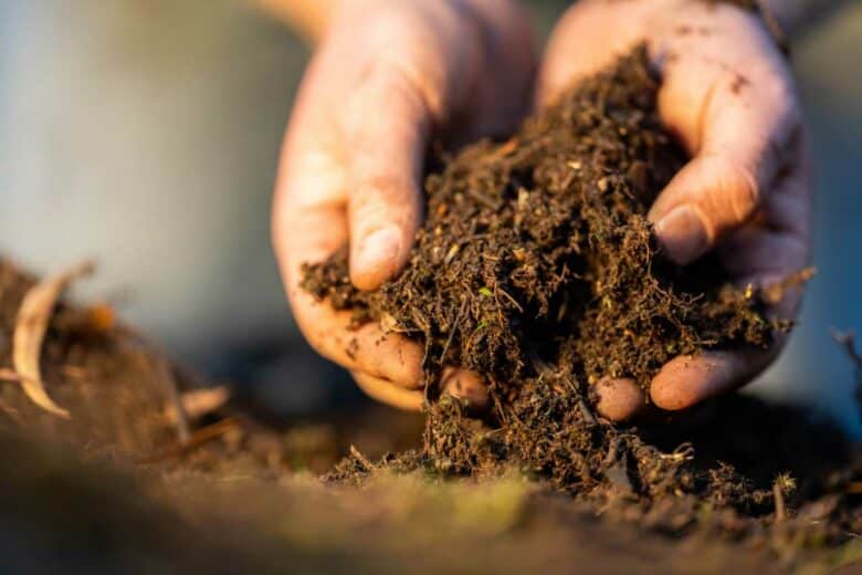 Un compost vous permet d'obtenir un très bon engrais.