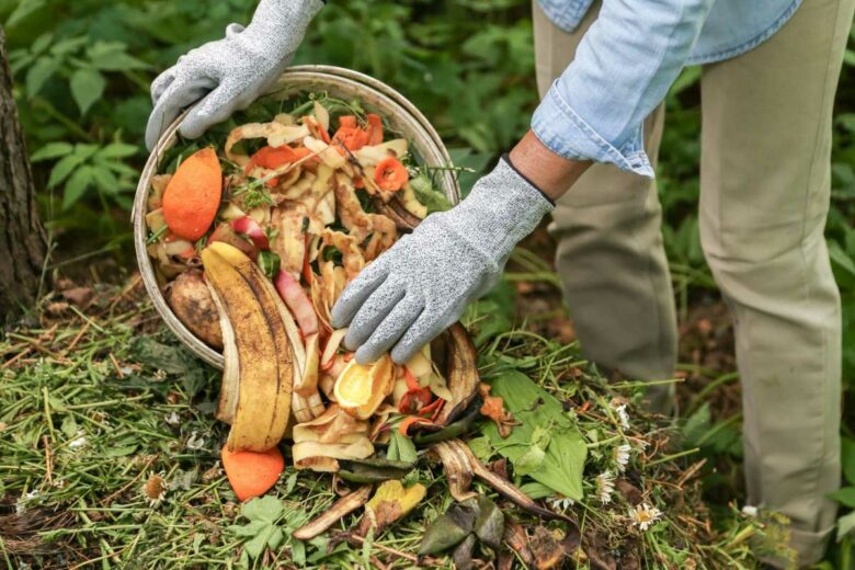 Une personne dépose ses déchets organique sur son compost.