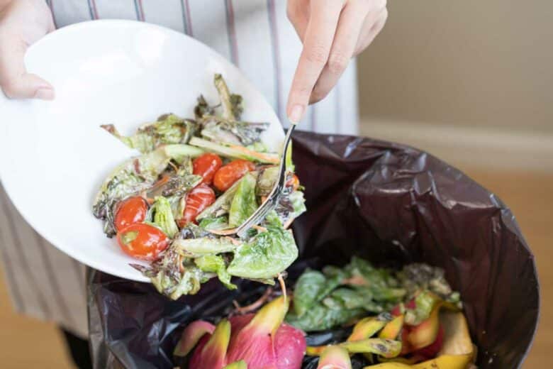 Une personne vide son assiette dans le bac à compost.