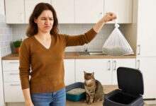 Une femme tient un sac plastique avec la litière souillée de son chat.
