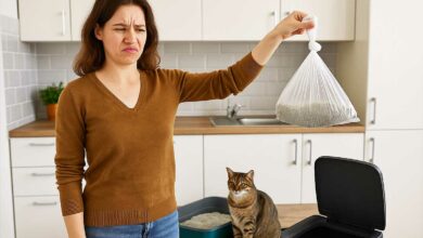 Une femme tient un sac plastique avec la litière souillée de son chat.