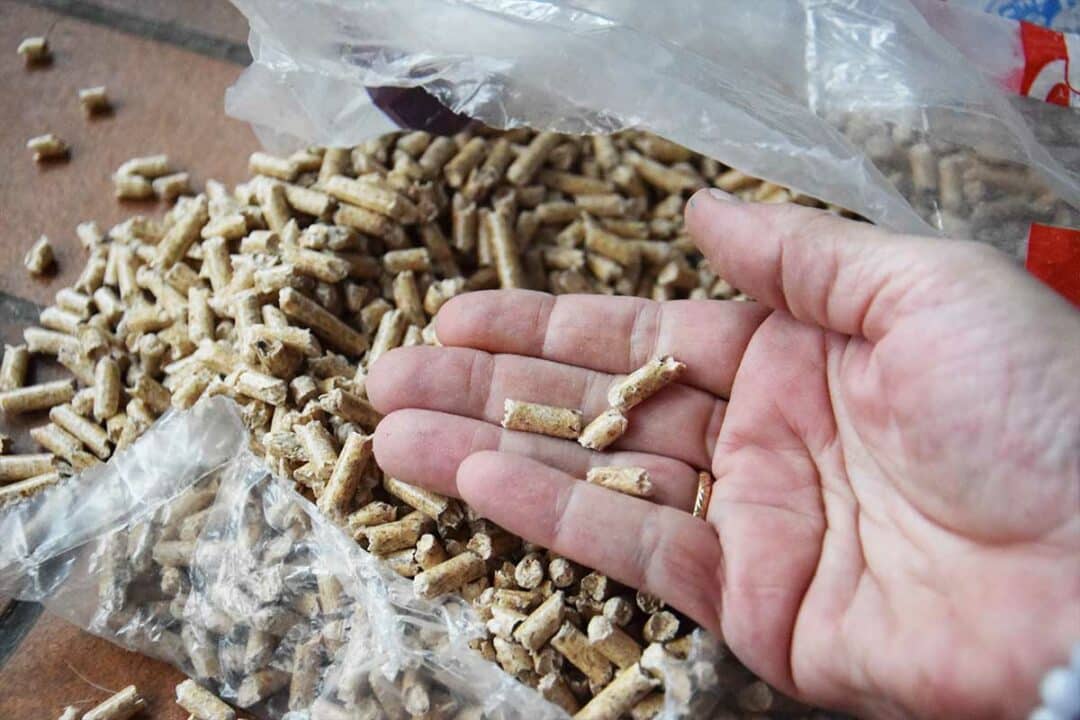 Quelques pellets de bois dans la main.