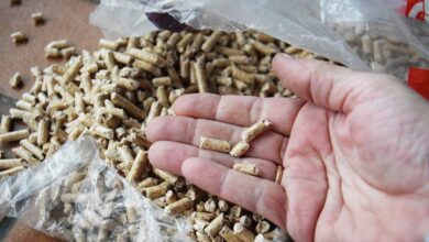Quelques pellets de bois dans la main.