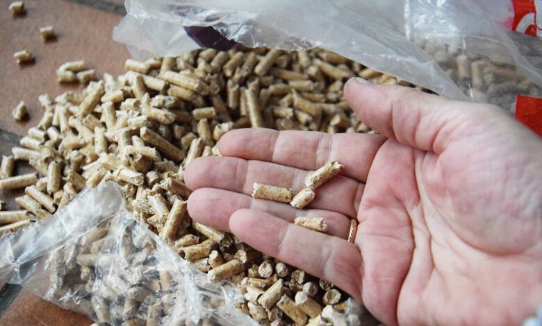 Quelques pellets de bois dans la main.