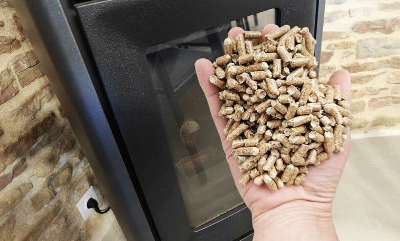 Une poignée de pellets devant un poêle.