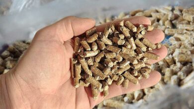 Une main tient des pellets.