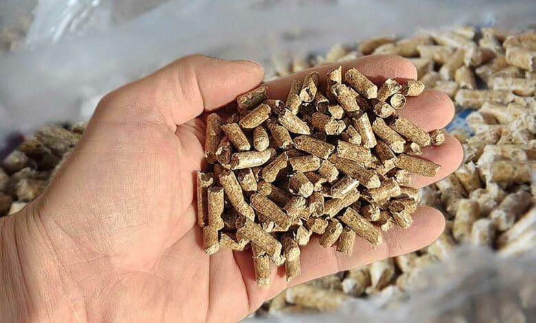 Une main tient des pellets.