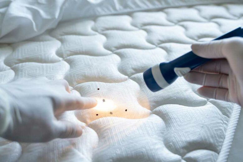 Inspection d'un matelas.
