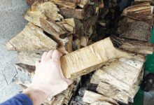 Un tas de bois et une buche tenue en main.