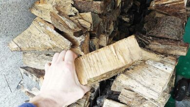 Un tas de bois et une buche tenue en main.