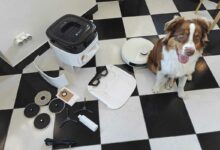 Le contenu du colis.