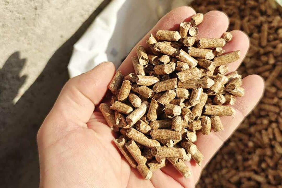 Des granulés de bois tenus dans la paume de la main.