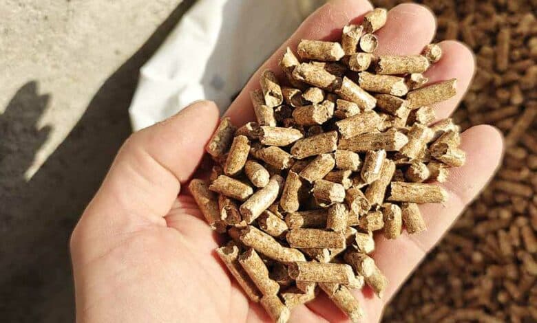 Des granulés de bois tenus dans la paume de la main.