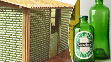 Deux bouteilles de bière et un abri construit avec ce type de bouteilles.