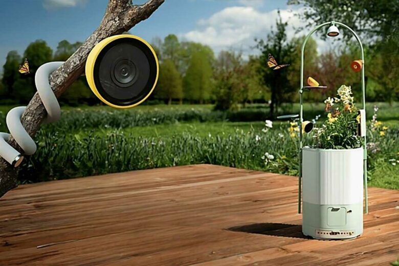Bird Buddy propose une caméra et un écosystème pour observer la nature et les insectes.