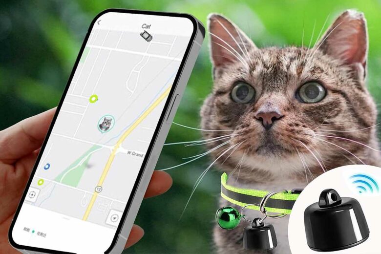 Une application pour retrouver votre chat.