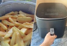 Des frites de friteuse et un airfryer.
