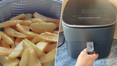 Des frites de friteuse et un airfryer.