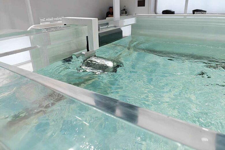 Un appareil qui transforme votre piscine en terrain d'entrainement de natation.