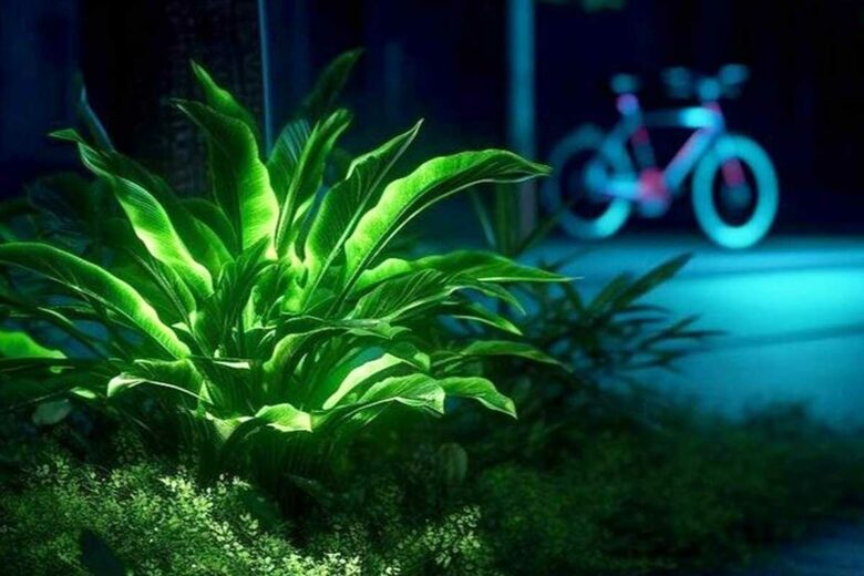Une plante bioluminescente éclaire la rue.