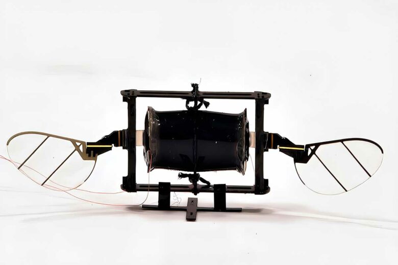 Un prototype de nano robot insecte.