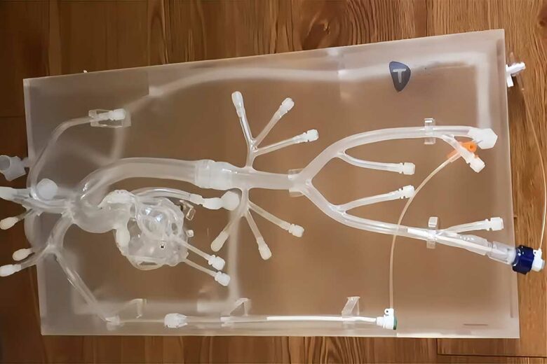 Un dispositif médical capable de filtrer et de rediriger des cellules sanguines.