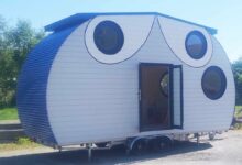 Une tiny house aux allures de hibou.