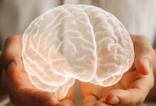 Représentation d'un cerveau en holograme.