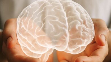 Représentation d'un cerveau en holograme.