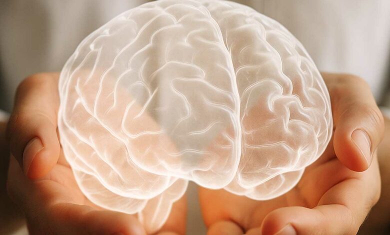 Représentation d'un cerveau en holograme.