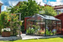Serre en verre : guide d’achat complet et conseils pratiques pour cultiver toute l’année