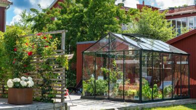 Serre en verre : guide d’achat complet et conseils pratiques pour cultiver toute l’année