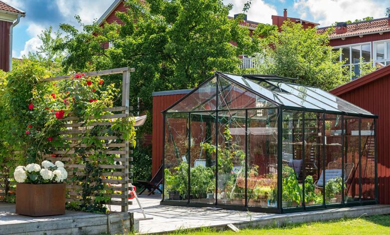 Serre en verre : guide d’achat complet et conseils pratiques pour cultiver toute l’année