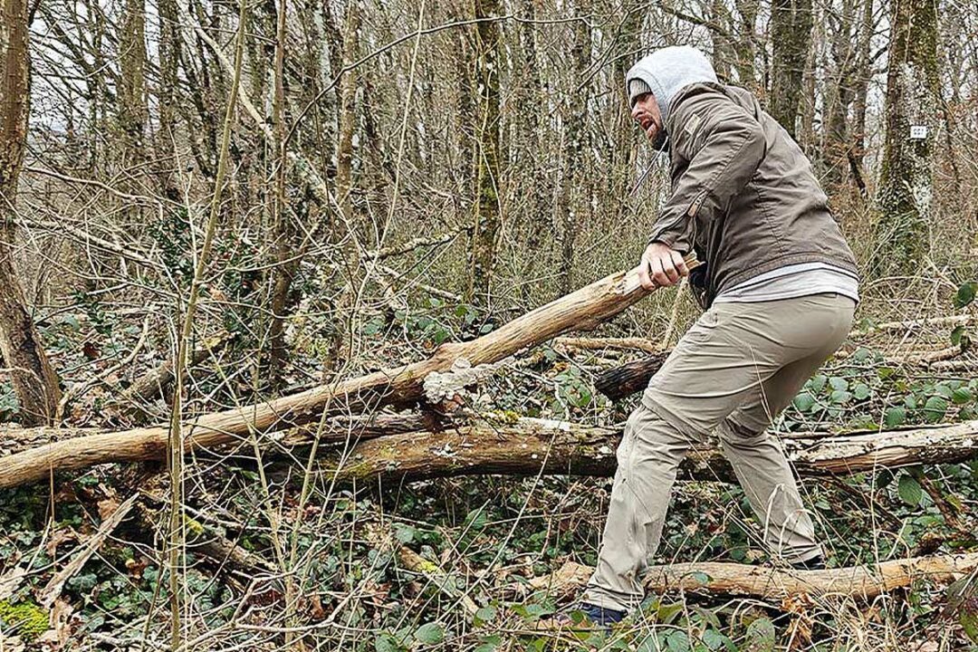 Un homme ramasse du bois en forêt.