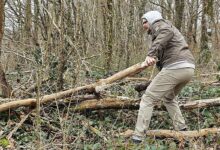 Un homme ramasse du bois en forêt.