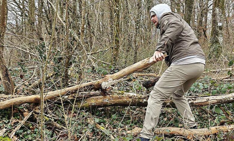 Un homme ramasse du bois en forêt.
